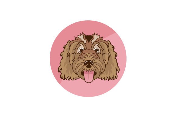 Cockapoo Dog Face