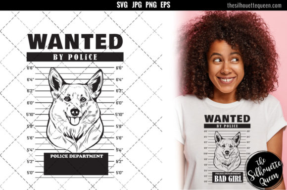 Mugshot of Corgi Dog