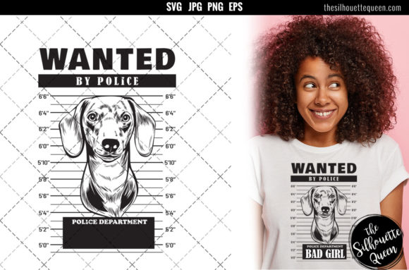 Mugshot of Dachshund Dog
