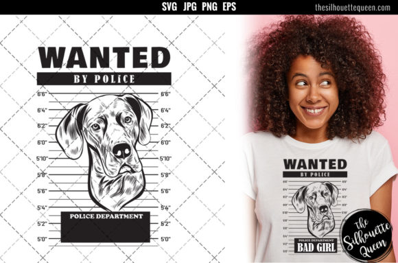 Mugshot of Great Dane Dog