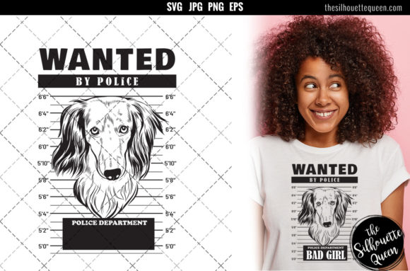 Mugshot of Long Haired Dachshund Dog