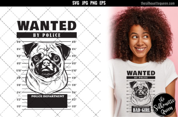 Mugshot of Pug Dog