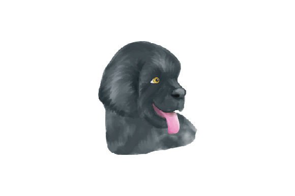 Newfoundland Dog Face Watercolor