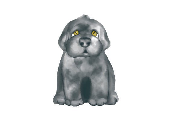 Newfoundland Dog Watercolor