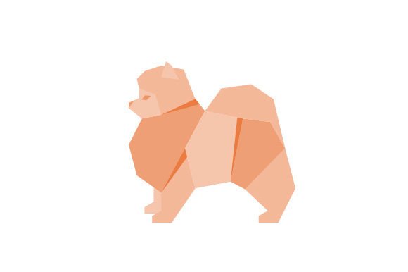 Polygon Pomeranian Dog Full Body