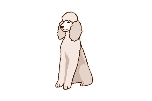 Poodle Dog White