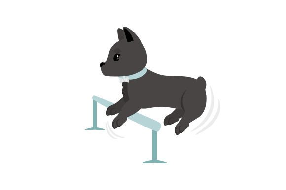 Schipperke Dog Training