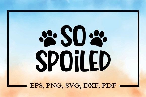 So Spoiled SVG: A Designer’s Real-World Embroidery Review